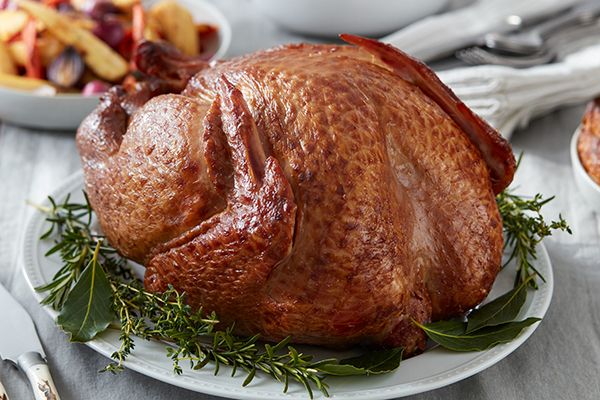 Resting Turkey